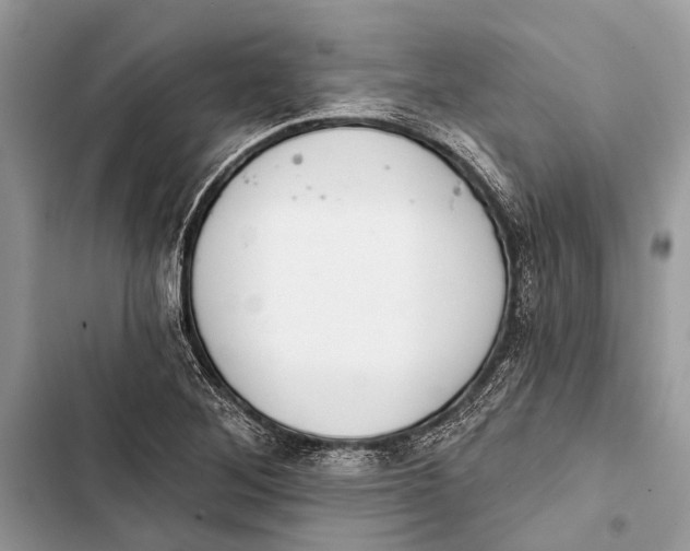 X0000103461268200810031450