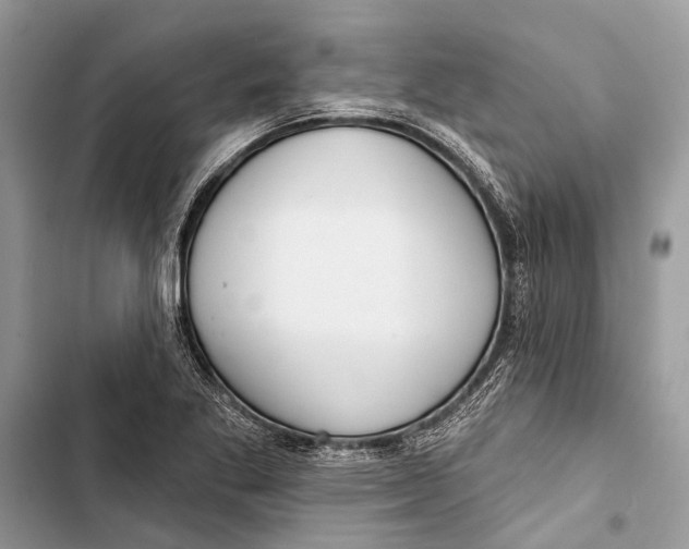 X0000103461269200810031450