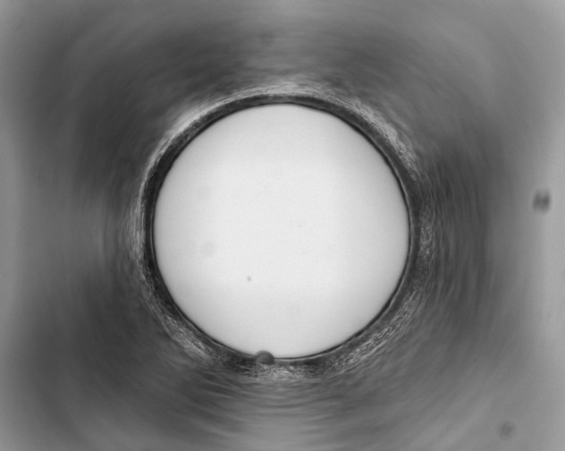 X0000103461270200810031450