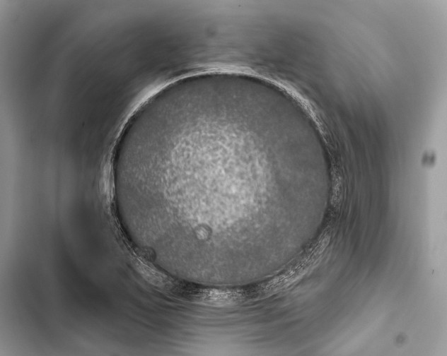 X0000103461271200810031450