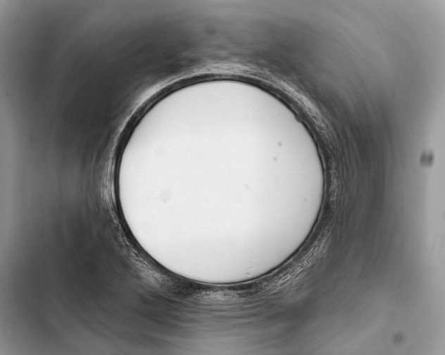 X0000103461272200810031450