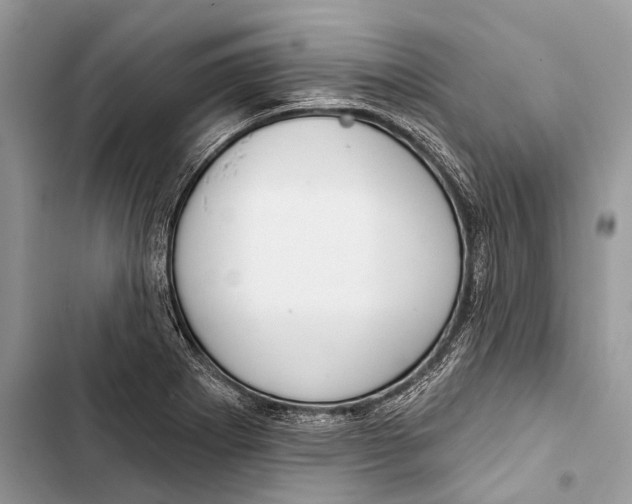 X0000103461273200810031450