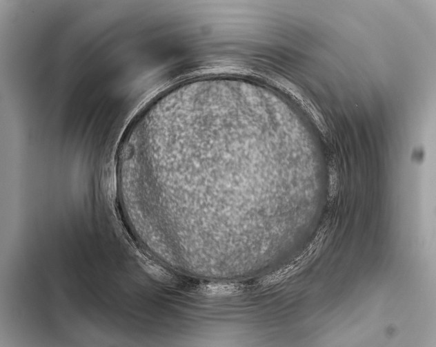 X0000103461274200810031450