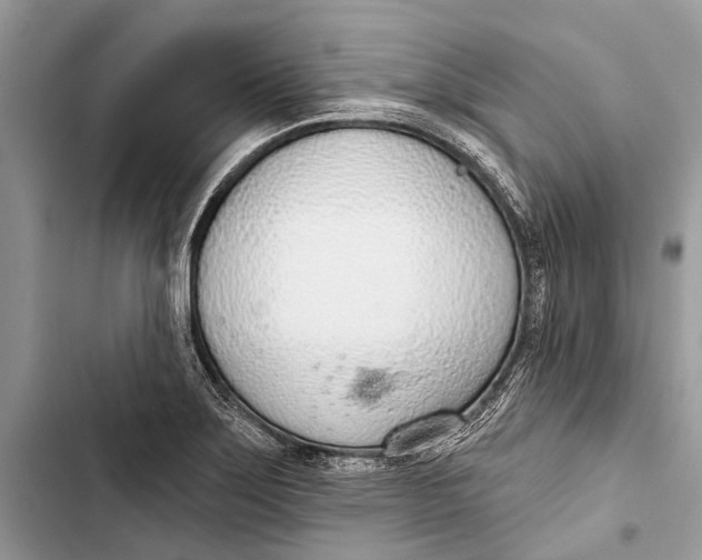 X0000103461275200810031450