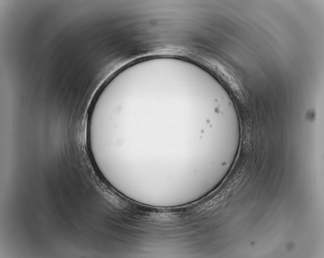 X0000103461276200810031450