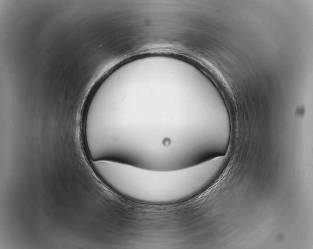 X0000103461277200810031450