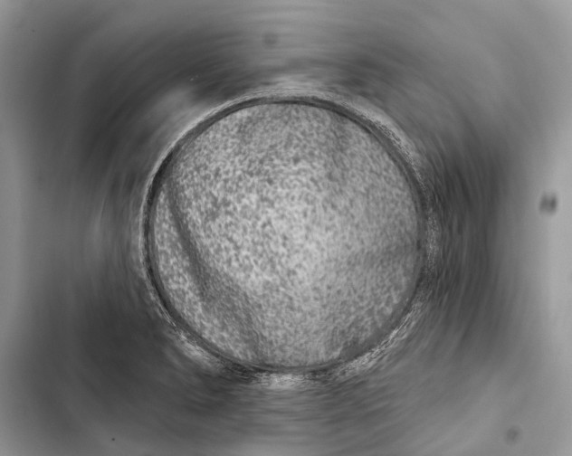 X0000103461278200810031450