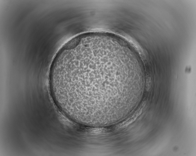 X0000103461279200810031450