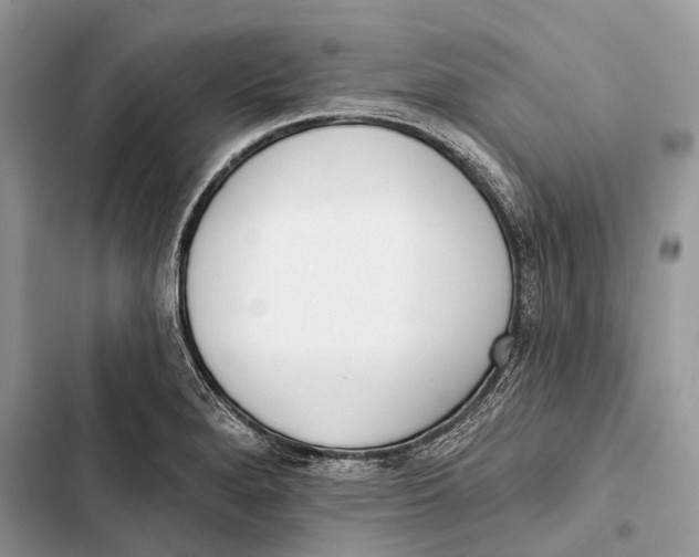 X0000103461280200810031450