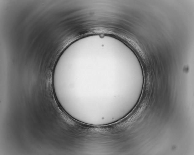 X0000103461281200810031450