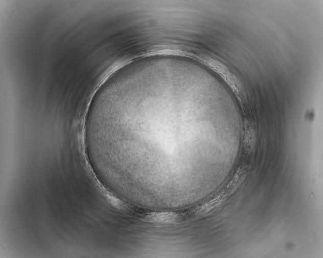 X0000103461282200810031450