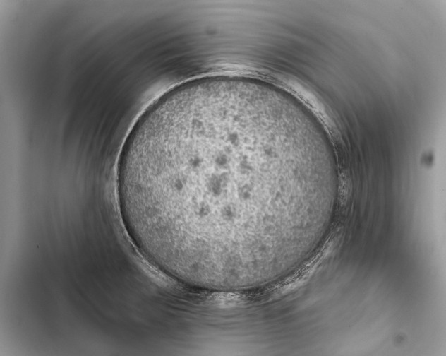 X0000103461283200810031450