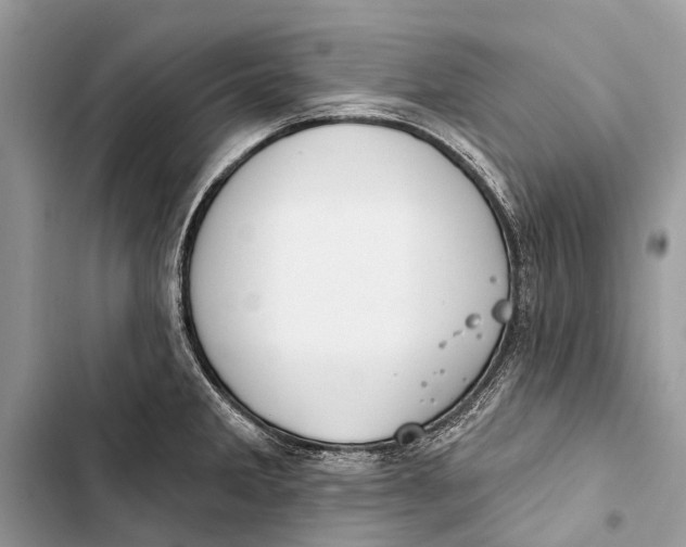 X0000103461285200810031450