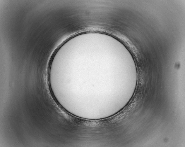 X0000103461286200810031450