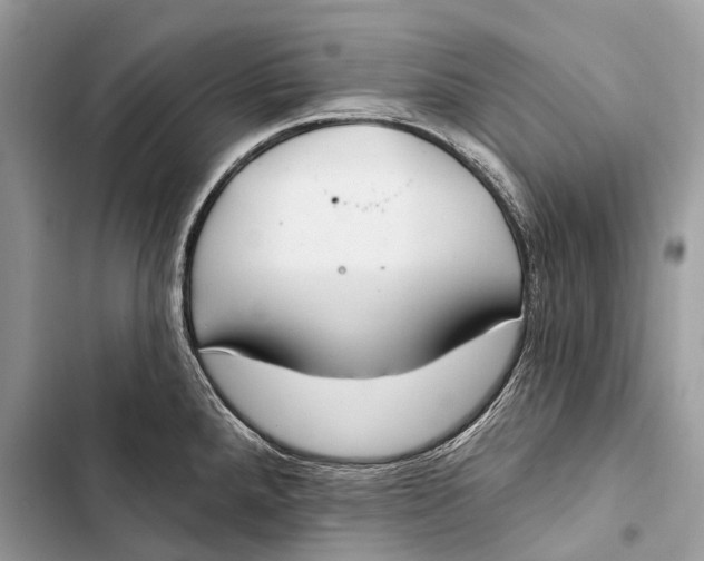 X0000103461288200810031450