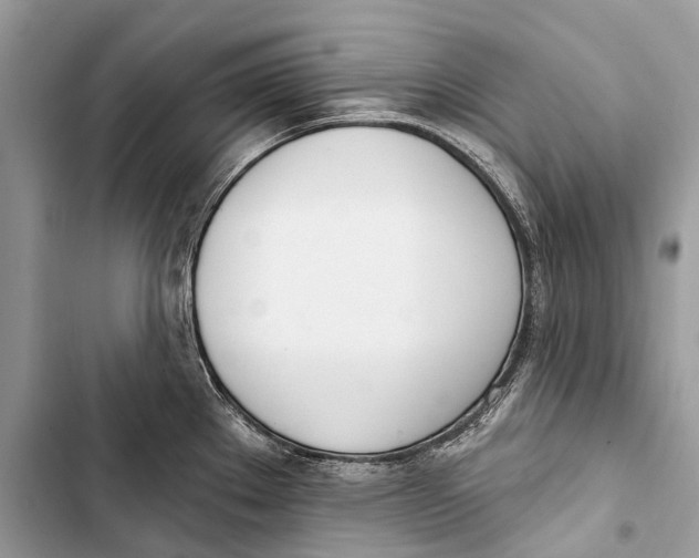 X0000103461289200810031450