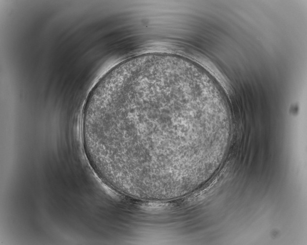 X0000103461290200810031449