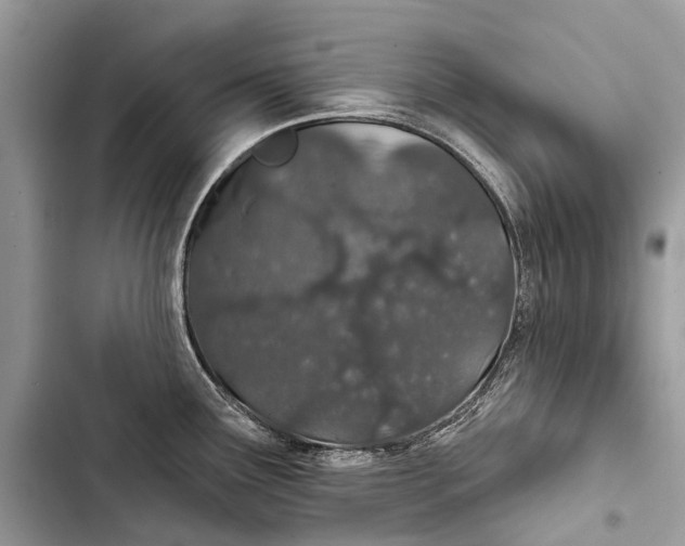 X0000103461291200810031449