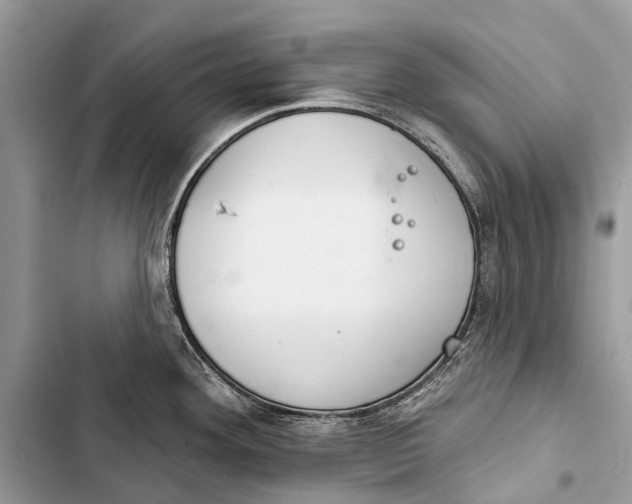 X0000103461292200810031449