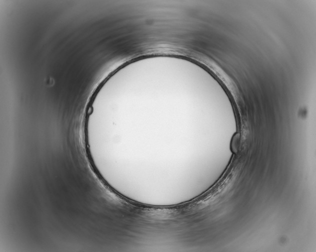 X0000103461293200810031449