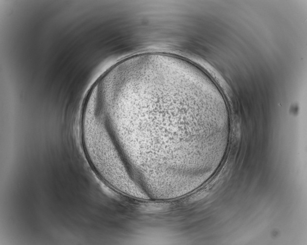 X0000103461294200810031449