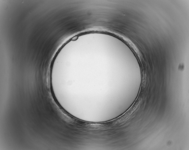 X0000103461295200810031449