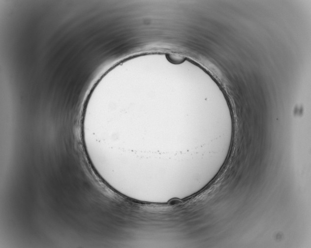 X0000103461296200810031449