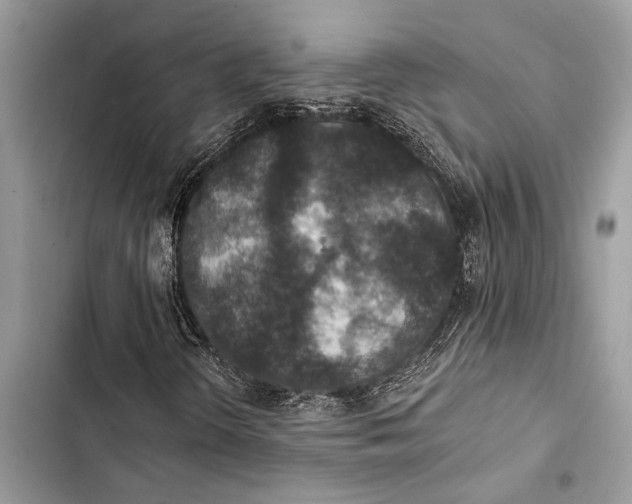 X0000103461298200810031449