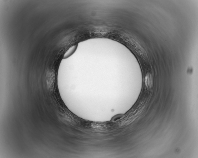 X0000103461299200810031449