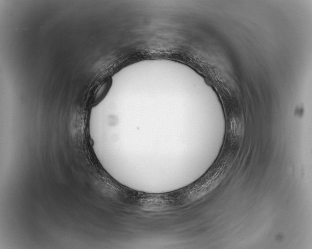 X0000103461300200810031449