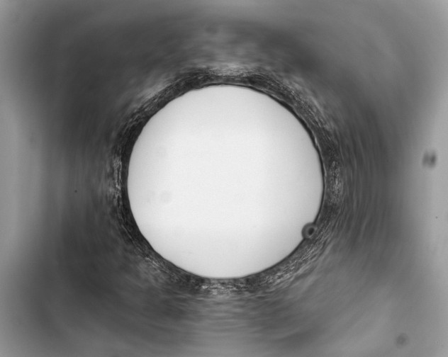 X0000103461301200810031449