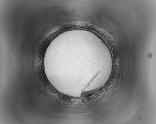 X0000103461302200810031449