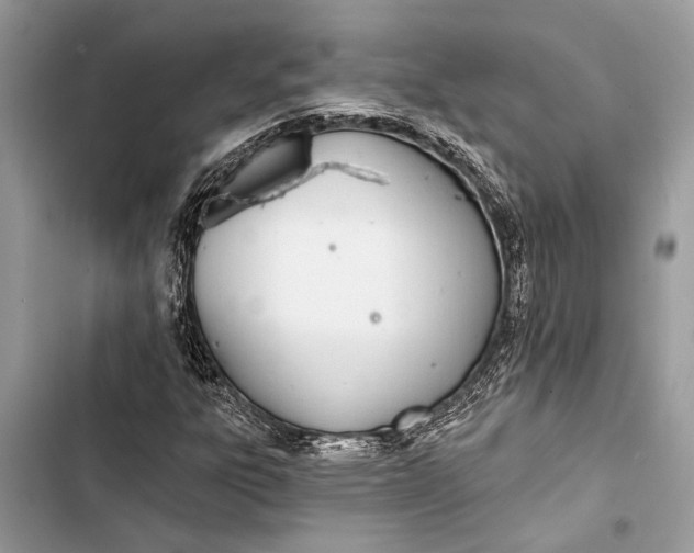 X0000103461303200810031449