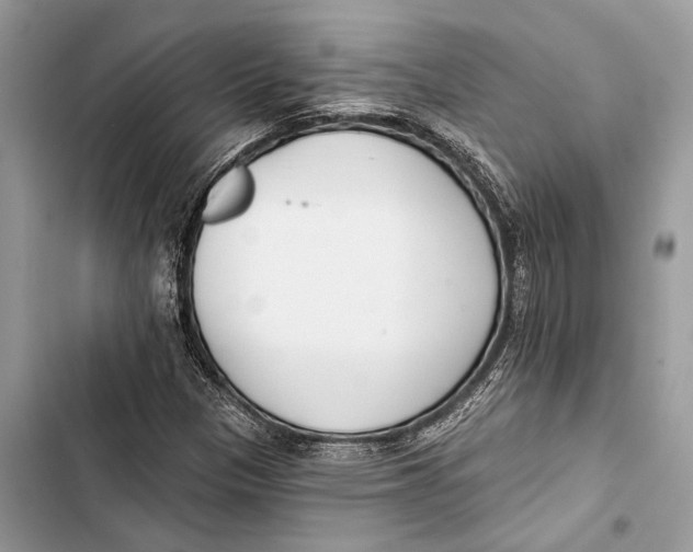 X0000103461305200810031449