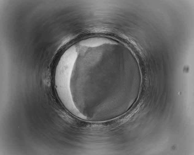 X0000103461306200810031449