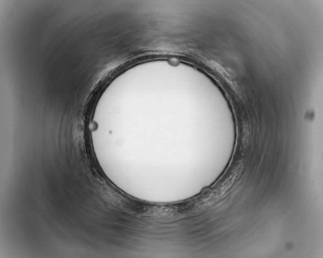 X0000103461307200810031449