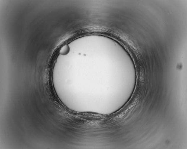 X0000103461309200810031449