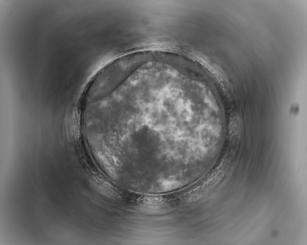 X0000103461310200810031449