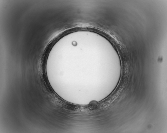 X0000103461311200810031449