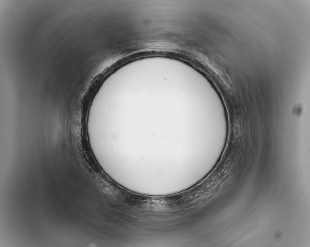 X0000103461315200810031449