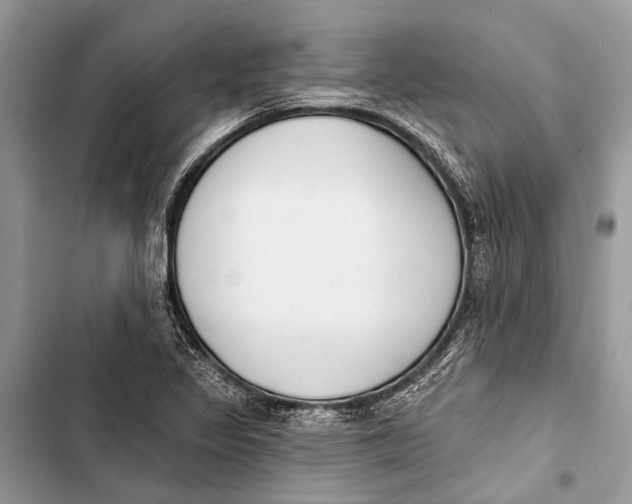 X0000103461317200810031449