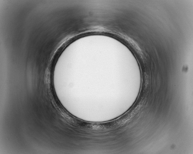 X0000103461318200810031449