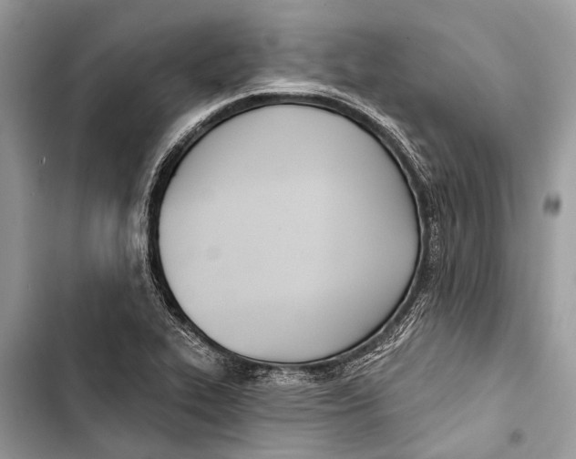 X0000103461319200810031449