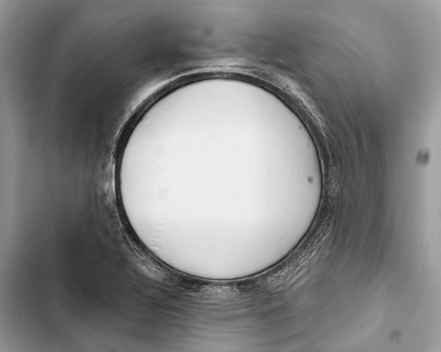 X0000103461320200810031449