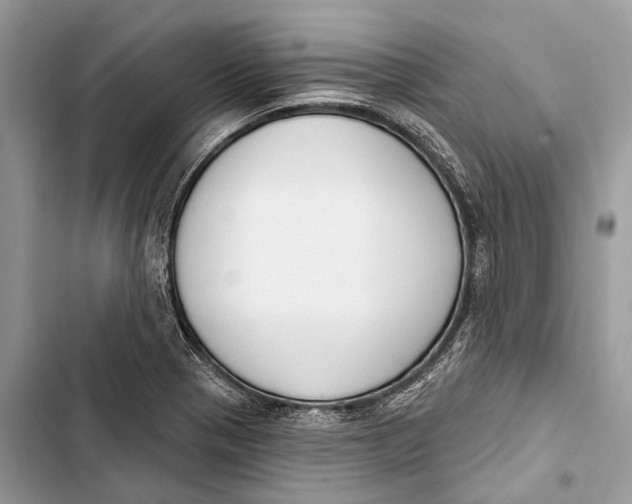 X0000103461321200810031449