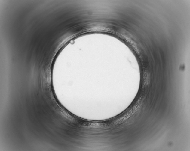 X0000103461322200810031449