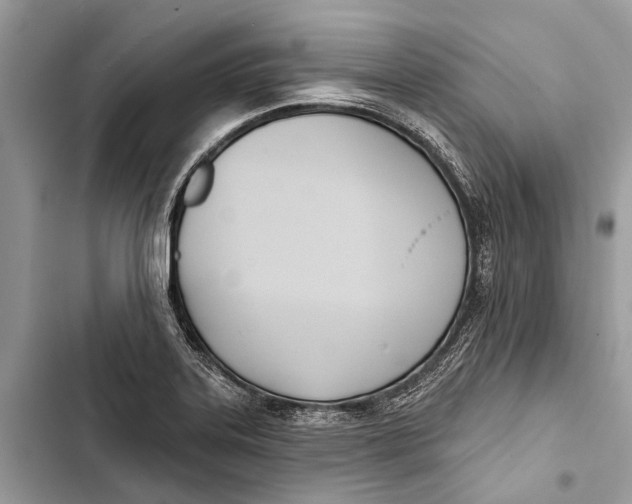 X0000103461323200810031449