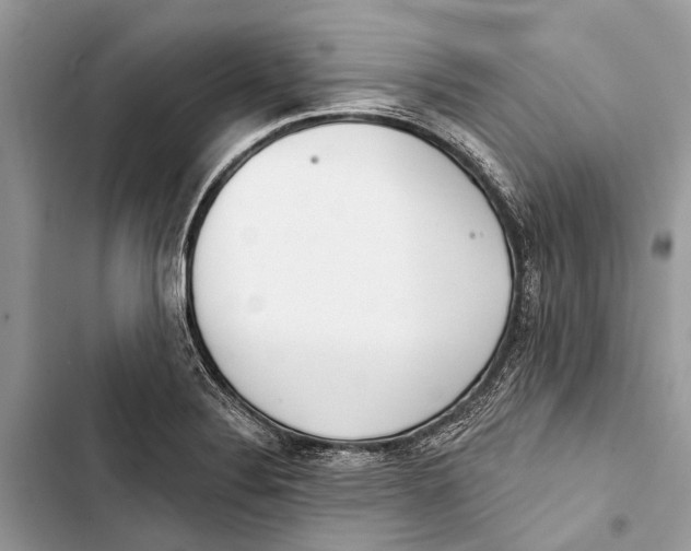 X0000103461324200810031449