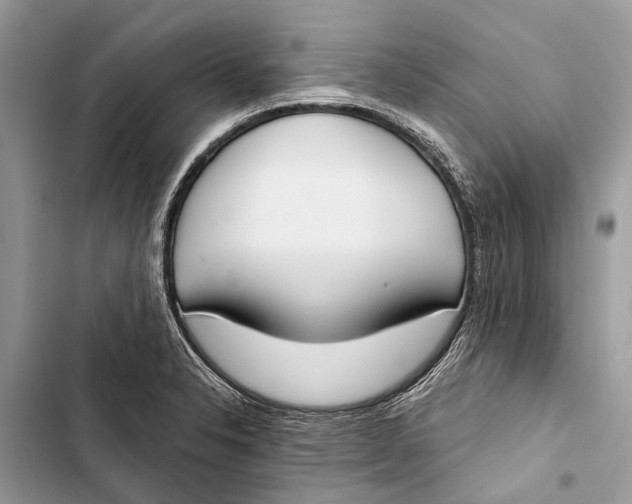 X0000103461326200810031449