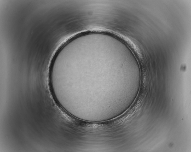 X0000103461327200810031449